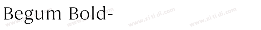 Begum Bold字体转换